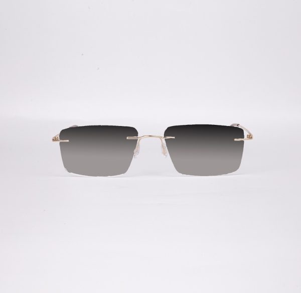 Rimless Tr 90 Sunglasses S4016 2